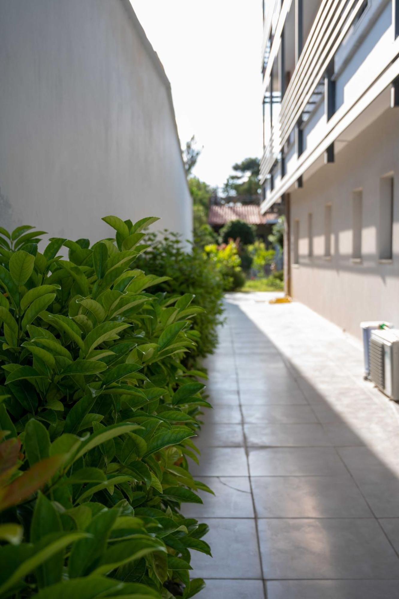 Finikas Suites & Apartments 10Min From Athens Airport Artemida  Luaran gambar